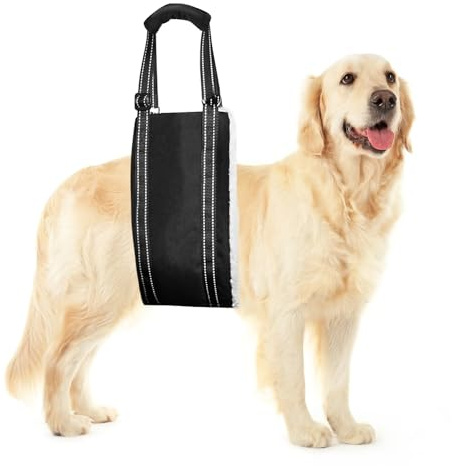 FEimaX Pettorina di Sollevamento per Cani Regolabile Imbracatura di Supporto e Riabilitazione Imbracatura Cane Zampe Posteriori con Maniglia per Cani Anziani, Feriti o Disabili (L)