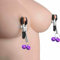 2pcs Morsetti per Capezzoli BDSM Giocattoli per Capezzoli, Clip per Capezzoli in Metallo Regolabili, Anelli per Capezzoli non Piercing Giocattolo del Sesso per Adulti per le Donne Coppie