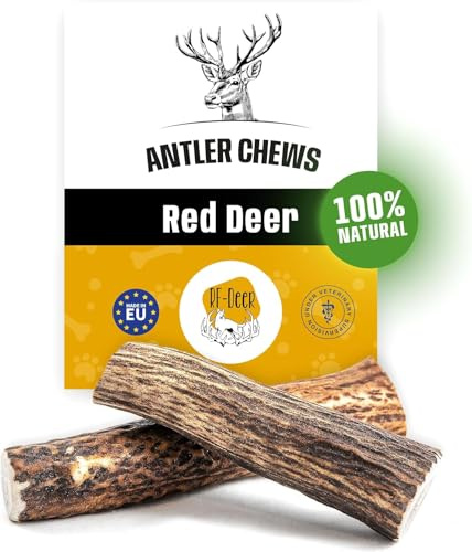 RF - DEER Hjorthjortar | Storlek L | Naturliga tuggben för hundar | Tuggben för skoj och tandvård | Hård version | Högkvalitativ kvalitet | 121-160 g | 17-19 cm