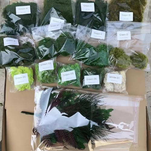 Prefleur DIY Crafts Assorted Moss Kit Mixed Preserved Stabilized Moss Pillow Cushion Natural Green Real Decoration Sample