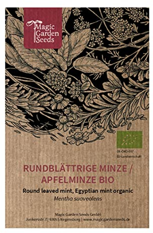 Menthe à feuilles rondes (Mentha suaveolens) bio env. 500 semences