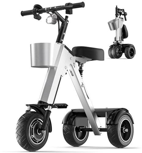 Patinete Eléctrico 3 Ruedas para Adultos,Patinete Eléctrico Plegable 3 Ruedas,Patinete Personas Mayores, Motor 450 W, Neumáticos De 10 Pulgadas, con Batería Extraíble(For 2 People)