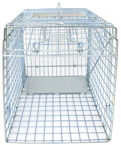 JungleA Animal Cage Trap 32x13x12, Foldable Live Catch Animal Trap Cage, Humane Catch & Release Rodent for Raccoons, Stray Cats, Groundhogs, Opossums, Squirrel, Chipmunks, Chicken, Rabbits, Skunk