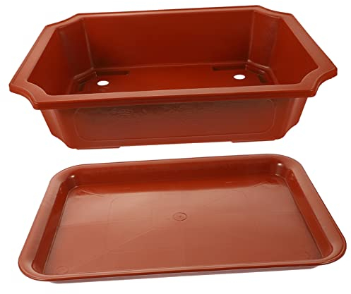 DOITOOL Fioriera Appesa Fioriera Orchidea Rotonda Vasi Fiori Casa Interna Vaso Fiori Porta Bonsai Giardino Vaso Giardinaggio Vassoio Per Piantine