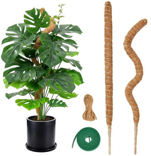 2 Piezas Tutores para Plantas Flexible de Fibra de Coco 60 cm, Tutor Monstera Apilables con Cuerda de Yute y Velcro, Tutor Musgo para Monstera, Plantas Trepadoras, Jardín, Interior y Exterior