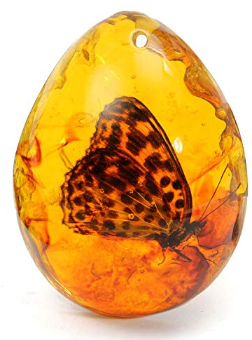 ExcLent Mariposa Resina Ámbar Ámbar Mariposa Insecto Piedra Colgante Collar Decoraciones De Regalo