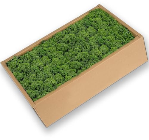 Preserved Reindeer Moss 600g Artificial Green Lichen Decoration, Natural Green Moss for Craft Garden House Potted Plants Flower Arrangements
