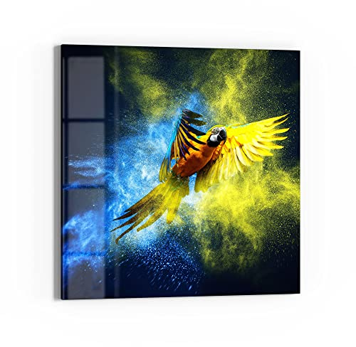 DEQORI Glasbild Echtglas | Motiv Papagei in Farbwolke | quadratisch einteilig 30x30 cm | schöne Dekoration | Wandbild für Wohnzimmer, Schlafzimmer, Flur & Küche | moderne Wanddeko