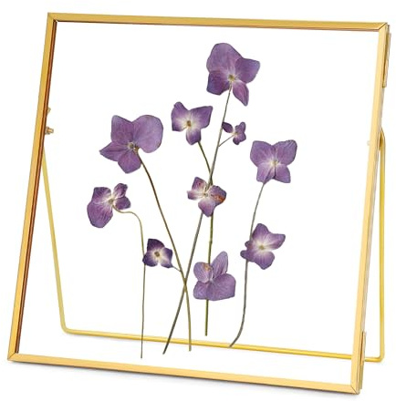 REDHUGO Double Glass Frame for Pressed Flowers, Square, Gold, 8x8 Inches | Handmade, Tabletop Photo Frame for Floating Picture and Flower Press, Simple, Metal Geometric