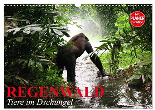 Regenwald. Tiere im Dschungel (Wandkalender 2025 DIN A3 quer), CALVENDO Monatskalender: Die wunderbare Artenvielfalt im Regenwald (CALVENDO Tiere)