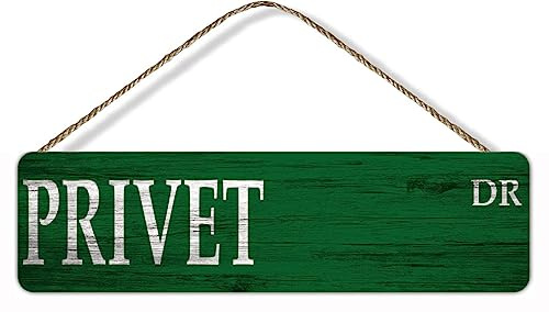Wooden Hanging Sign Plaque With Rope - Privet Street Signs Wall Art Wood Hanging Wall Plaque Scripture Sign Decor 4X16