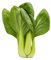 Fresh Pak Choi I Rich in Nutrients I Tender I Crunchy I Versatile I Pack of 1