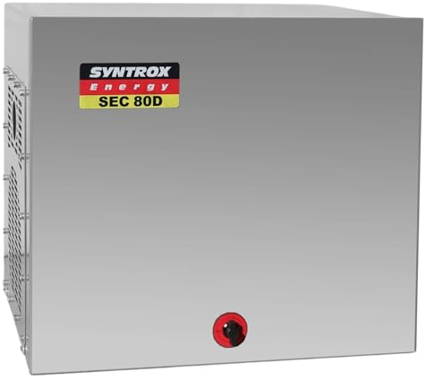 Syntrox Inverter Diesel Generator Akan, Camping Stromversorgung, zuverlässiger Stromgenerator, effizienter, Wohnmobil Generator, Diesel Notstromgenerator, Umweltfreundlich