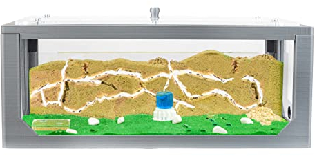 AntHouse - Natürliche Ameisenfarm aus Sand Grau | 3D Big Starter Set 30x15x10 cm | Ant Farm | Inklusive Ameisenkolonie
