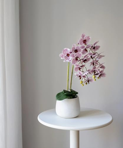 Maia Shop Orquídea Artificial con Maceta de Cerámica (2, Violeta, Maceta Soft)