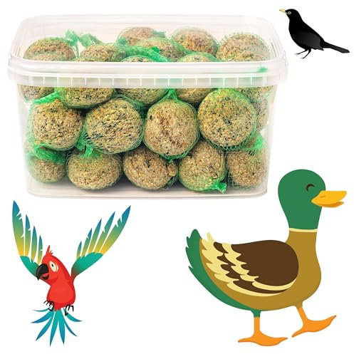 Bite & Delight Boules de Graisse pour Oiseaux - 3 kg de Nourriture Riche en Nutriments - Idéal pour Mésanges, Moineaux et Oiseaux de Jardin - Aliment pour Toute l'Année