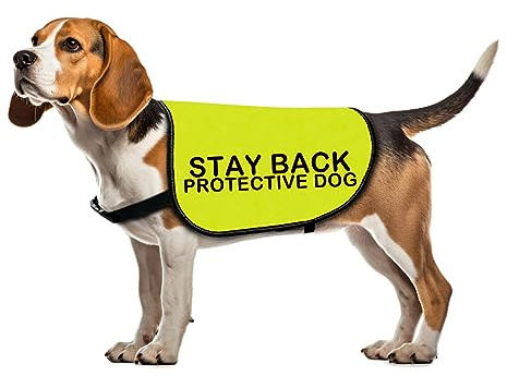 Protective Dog Jacket - Stay Back Protective Dog Vest for Walking - Slogan Warning Vest (Medium)