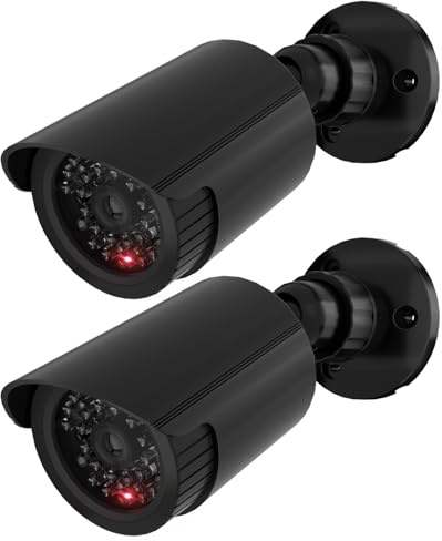 WALI Fake Security Camera with Flashing Red Light, 2 Pack, Black（TC-B2）