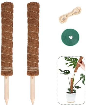 Bamworld tutores para Plantas Monstera，2 Piezas 42cm de Tutor Musgo Extensible Soporte Plantas Sujetar Palos para Plantas Tutor Monstera Fibra Coco Plantas Naturales Interior