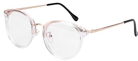Brille Damen Herren Metallrahmen Brillengestelle Ohne Sehstärke Rund Pantobrille Transparent Streberbrille Vintage Fensterglas Leicht Nerdbrille Winddicht Ebenenspiegel Brillefassung mit Nasenpad