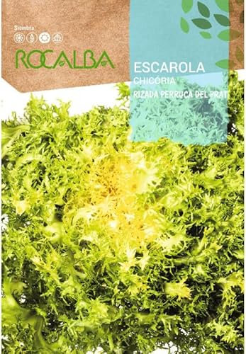 Semilla Escarola Rizada Perruca del Prat