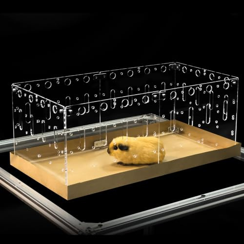 GuineaLoft⢠Model-C2 Acrylic Cage - Small 2x1ft Open Cage