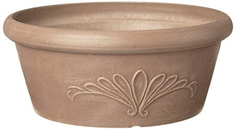 Arcadia Garden Products PSW Pot TA30TP Collection - Maceta Baja para suculentas, bonsái, Jardines de Hadas, Hierbas, 12 Pulgadas, Color Gris Pardo