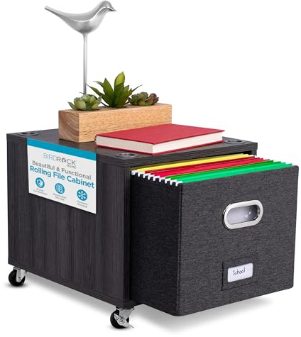 BIRDROCK HOME Rolling File Cabinet â Decorative Storage Shelf w/Removable Bins, Handles, and Wheels â Organize Files, Books, Toys, Under Desk Office Solution, Modern Design - 1 Lateral Drawer, Gray