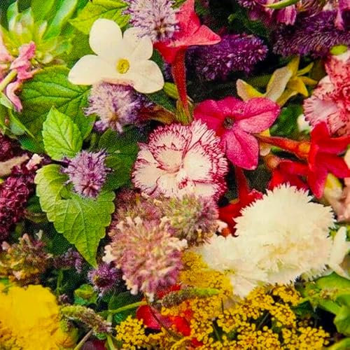 Fragrant Flowers Mixed Seeds – Quick & Easy to Sow – Attracts Bees & Butterflies – Creates a Wonderful Fragrant Garden