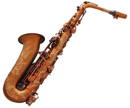 Professionell Saxofon Professionell Altsaxofon Matt Kaffe Med Fodral