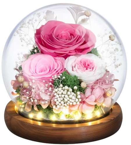 Emibele Gifts for Mom Flowers for Delivery, Birthday Gifts for Women | Preserved Real Rose in Glass Dome with LED Light, Mothers Day Anniversary Valentines Day Gifts for Wife friend Her, Pink