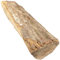 CHAP Bois bûches extra-sec pour chauffage haute performance 50 cm 28 kg