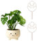 Pflanzenstütze, Monstera Rankhilfe, 2/6 Stück Kurz/Lang Pflanzenclips Mit Einzigartigem Blattdesign, Metall Garten Monstera Pflanzen Zubehör, für Gemüse Tomaten Monstera Blumen (2 Stück)