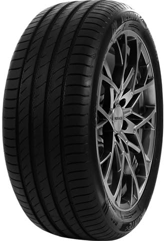 DELINTE - 195/55 R16 TL 91V DS2 XL BSW - Sommerreifen