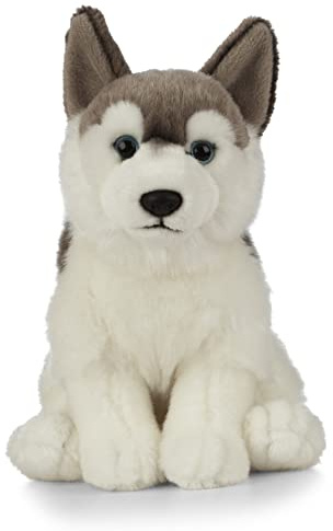 Living Nature Husky, Chien en Peluche Doux et Réaliste, Peluche Écologique Naturli, 21cm