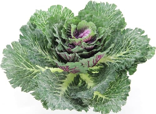 Admired By Nature 1pc Faux Cabbage Artificial Vegetables Realistic Fake Food Plant Props Artificial Decorative Cabbage Plant For Home Decoration Wedding Kitchen Decoration Fake Food For Display, Green