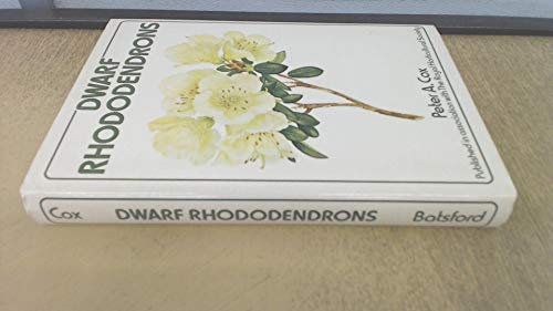 Dwarf Rhododendrons