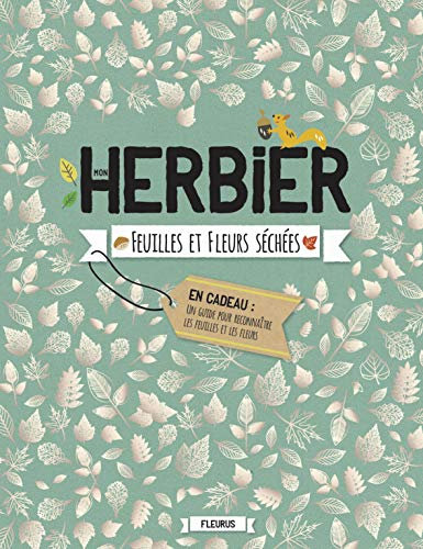 Mon herbier. Feuilles et fleurs séchées.