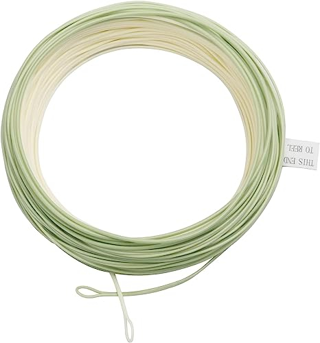 MAXIMUMCATCH TroutLite DT flugsnöre 3/4/5/6F 90 FT dubbeltaper flugfiskelina med 2 slingor, beige/grå/salvia (Real Trout LT (5F))