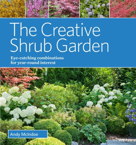 Creative Shrub Garden Eye-Catching Combinations for Year Round Interest