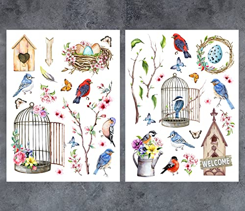 GSS Designs fåglar gnuggar på överföringar för möbler och hantverk 2 ark 30 x 40 cm vintage blomma gnugga på dekaler för heminredning gör-det-själv hantverk dekorationer