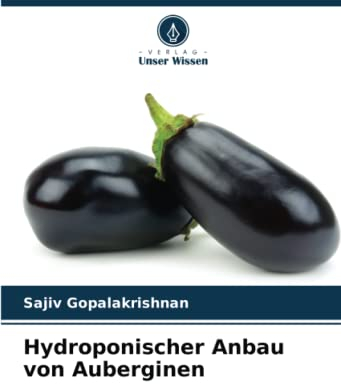 Hydroponischer Anbau von Auberginen