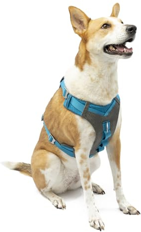 Kurgo Journey (TM) Chiens Course à Pied Harnais, Chien Marche Harnais, Chien randonnée Harnais, Harnais pour Chien, X-Large, Grey/Blue (2018)