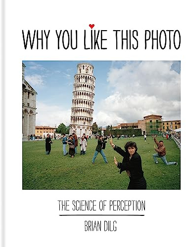 Why You Like This Photo: The science of perception