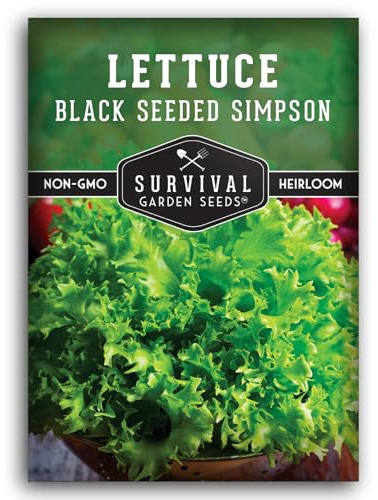 Black Seeded Simpson Lettuce Seeds for Planting – Heat Tolerant, Fast-Growing Leaf Lettuce Variety for Spring or Fall Gardens, High-Yield Heirloom Non-GMO Seeds – Survival Garden Seeds (1 Pack)