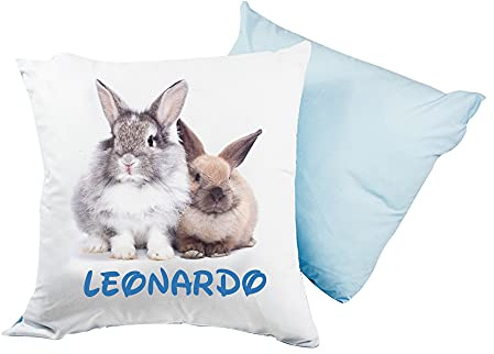 ALMATEX Cojín personalizado con nombre, 40 x 40 cm, desenfundable y lavable, con suave relleno, idea de regalo para cumpleaños, Navidad, (conejo azul)