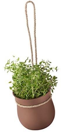 rig tig Z00130-1 Pot à Herbes Marron