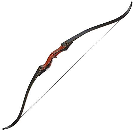 Recurve Bogen Pfeile Recurve Bow Und Pfeil for Erwachsene Anfänger, Outdoor -Trainingszielpraxis Takedown Compound Bow Kit Jagd Shooting (Size : 30Lbs)