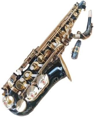 Professionell Saxofon Altsaxofon I E saxofon Med Fodral Professionellt Instrument