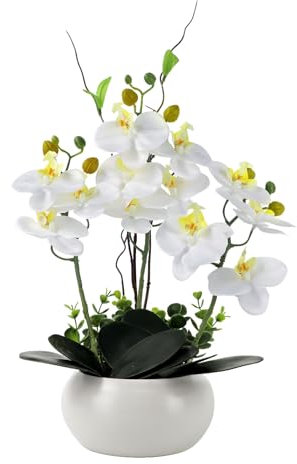 PlusFive Artificial Orchid Flowers in Ceramic Pot - Realistic White Silk Phalaenopsis Flower, 36cm Faux Orchid Plant for Indoor Home Decor, Table Centre Piece Decoration, Window Sill Decorations